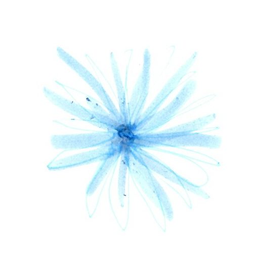 Meatsuit – Sunshine